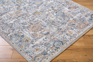 Livabliss Hassler HSL-2303 Area Rug Edge 