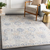 Surya Indigo IGO-2308 Area Rug Room Scene Featured 