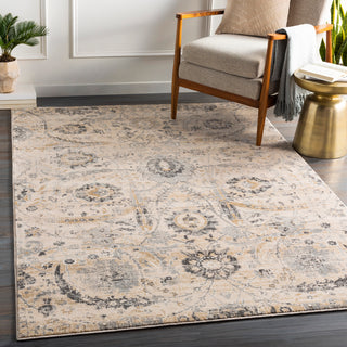 Surya Indigo IGO-2319 Area Rug Room Scene Featured 