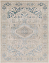 Surya Impulse IPS-2307 Area Rug 7'10"x10'