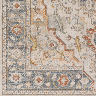 Surya Jamila JML-2307 Area Rug Close Up 