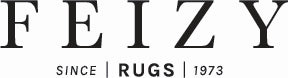 Feizy Logo