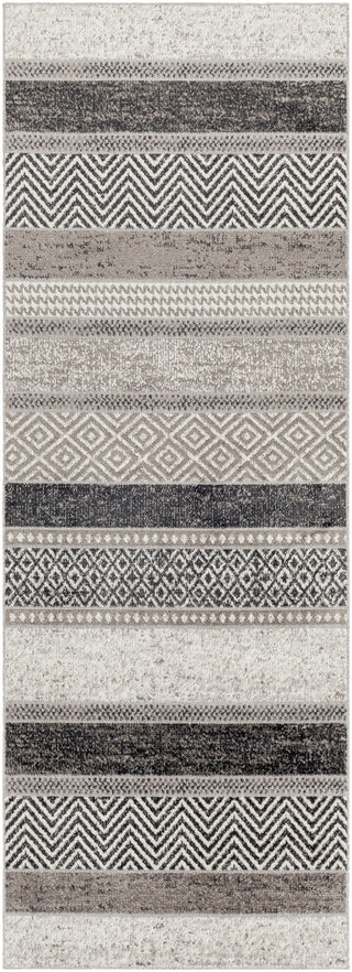 Surya Lavadora LVR-2304 Area Rug 2'7'' X 7'3'' Runner