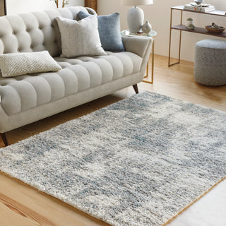 Surya Lyra Shag LYR-2301 Area Rug Room Scene Featured