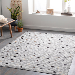 Surya Medora MOD-1025 Area Rug Room Scene 2