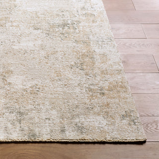 Livabliss Nathan NTH-2303 Sandstone / Ivory / Charcoal / Taupe Area Rug Corner