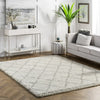 nuLOOM Edwin Trellis Shaggy Area Rug featured