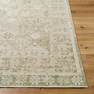 Surya Once Upon a Time OAT-2302 Ash Area Rug