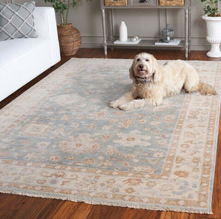 Safavieh Oushak OSH655M Light Blue / Beige Area Rug Room Scene 3