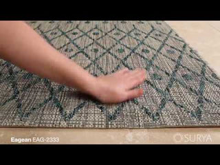 Surya Eagean EAG-2333 Area Rug Video 