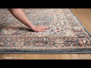 Surya Davaro DAV-2317 Area Rug Video 