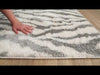 Surya Aliyah Shag ALH-2308 Area Rug Video 