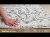 Surya Aliyah Shag ALH-2302 Area Rug Video 