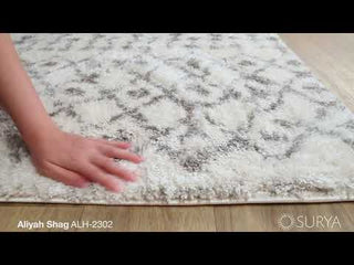 Surya Aliyah Shag ALH-2302 Area Rug Video 