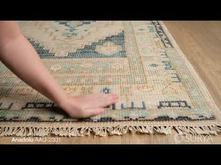 Surya Anadolu AAU-2301 Area Rug Video 