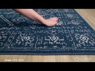 Surya Cesar CEG-2331 Area Rug Video 