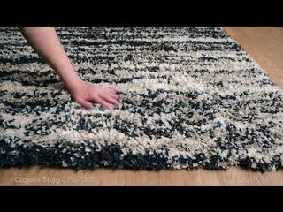 Surya Capella Shag CPS-2308 Area Rug Video 