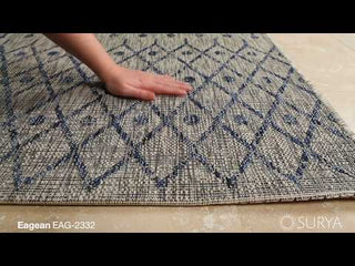 Surya Eagean EAG-2332 Area Rug Video 