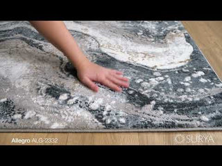 Surya Allegro ALG-2332 Area Rug Video 