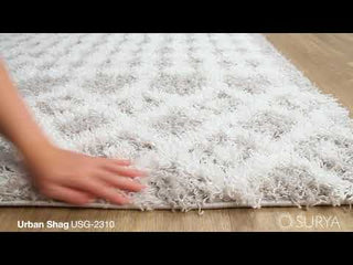 Link To External Youtube Video for Urban Shag USG-2310