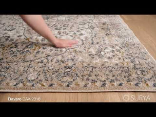 Surya Davaro DAV-2318 Area Rug Video 