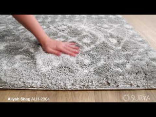 Surya Aliyah Shag ALH-2304 Area Rug Video 