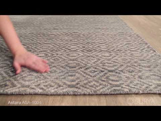 Surya Astara ASA-1004 Area Rug Video 