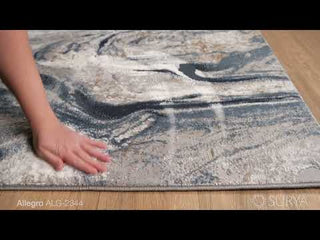 Surya Allegro ALG-2344 Area Rug Video 