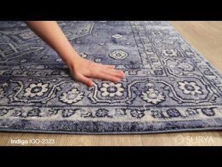 Link To External Youtube Video for Indigo IGO-2323