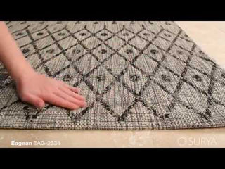 Surya Eagean EAG-2334 Area Rug Video 