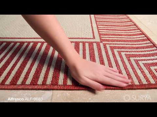 Surya Alfresco ALF-9683 Area Rug Video 