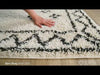 Surya Beni Shag BSH-2320 Area Rug Video 