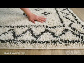 Surya Beni Shag BSH-2320 Area Rug Video 