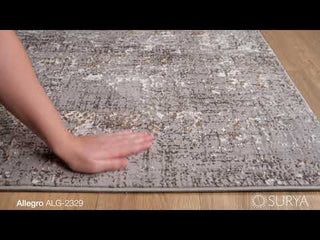 Surya Allegro ALG-2329 Area Rug Video 