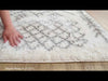 Surya Aliyah Shag ALH-2315 Area Rug Video