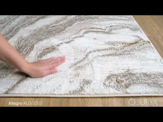 Surya Allegro ALG-2303 Area Rug Video 