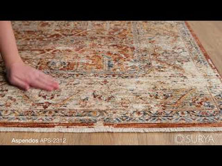 Surya Aspendos APS-2312 Area Rug Video 