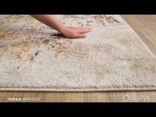 Surya Ankara AKR-2347 Area Rug Video 