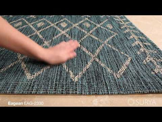 Surya Eagean EAG-2330 Area Rug Video 