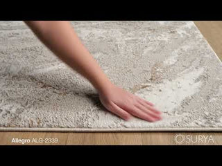 Surya Allegro ALG-2339 Area Rug Video 