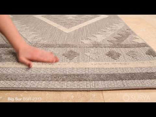  Surya Big Sur BSR-2313 Area Rug Video 