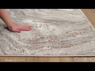 Surya Allegro ALG-2318 Area Rug Video 