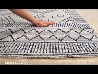 Surya Eagean EAG-2343 Area Rug Video