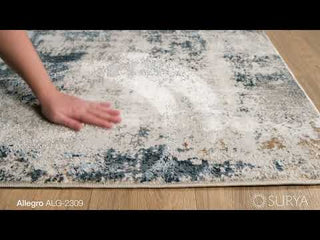 Surya Allegro ALG-2309 Area Rug Video 