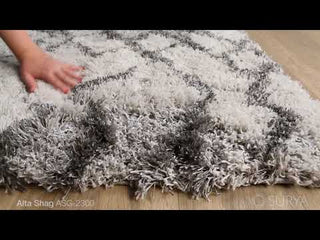 Surya Alta Shag ASG-2300 Area Rug by Artistic Weavers Video 