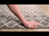 Surya Chester CHE-2321 Area Rug Video 