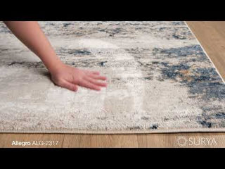 Surya Allegro ALG-2317 Area Rug Video 