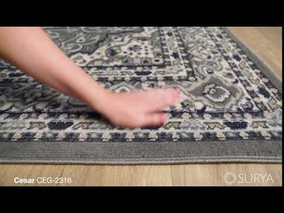 Surya Cesar CEG-2316 Area Rug Video 