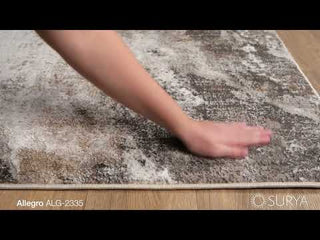 Surya Allegro ALG-2335 Area Rug Video 