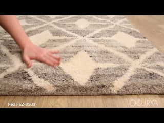 Surya Fez FEZ-2303 Area Rug Video 